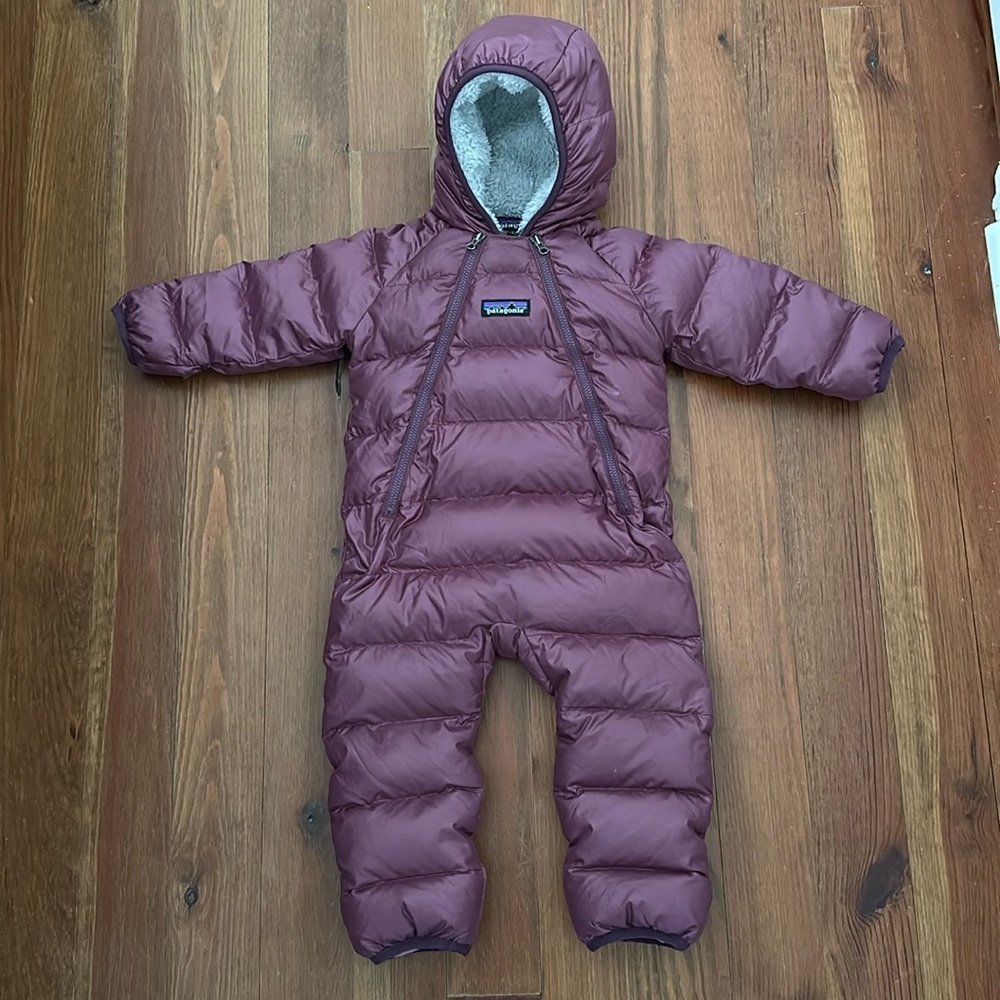 Patagonia bunting